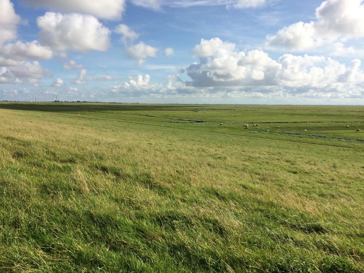 Landhaus Nordsee-Peerhuus Фридрихског Экстерьер фото